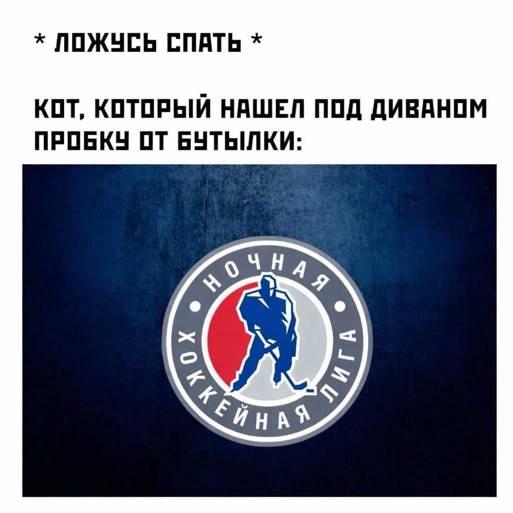 Ложусь спать. Кот, который нашел под диваном пробку от бутылки: Ночная хоккейная лига