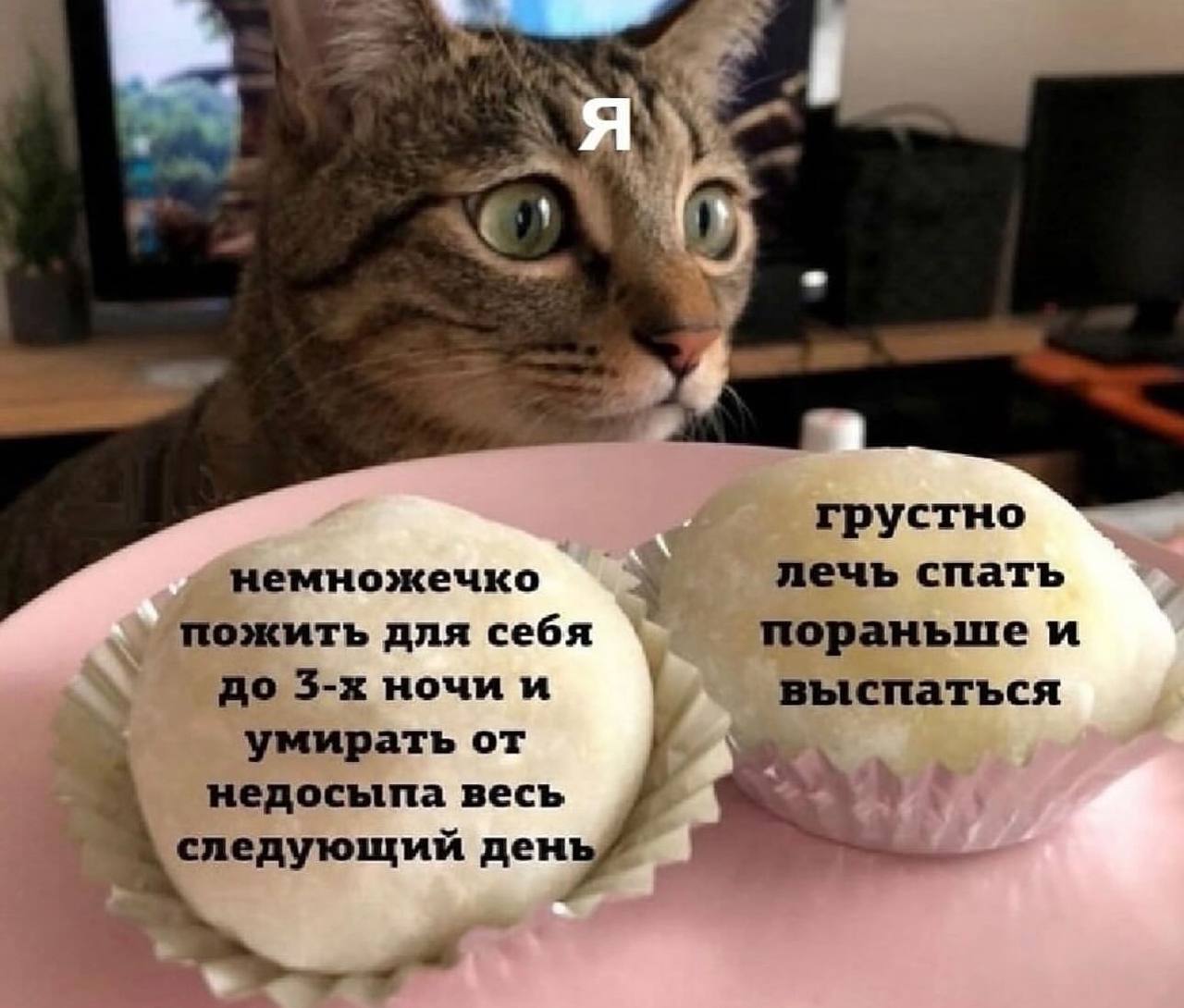 Немножечко пожить для себя до 3-х ночи и умирать от недосыпа весь следующий день. Грустно лечь спать пораньше и выспаться