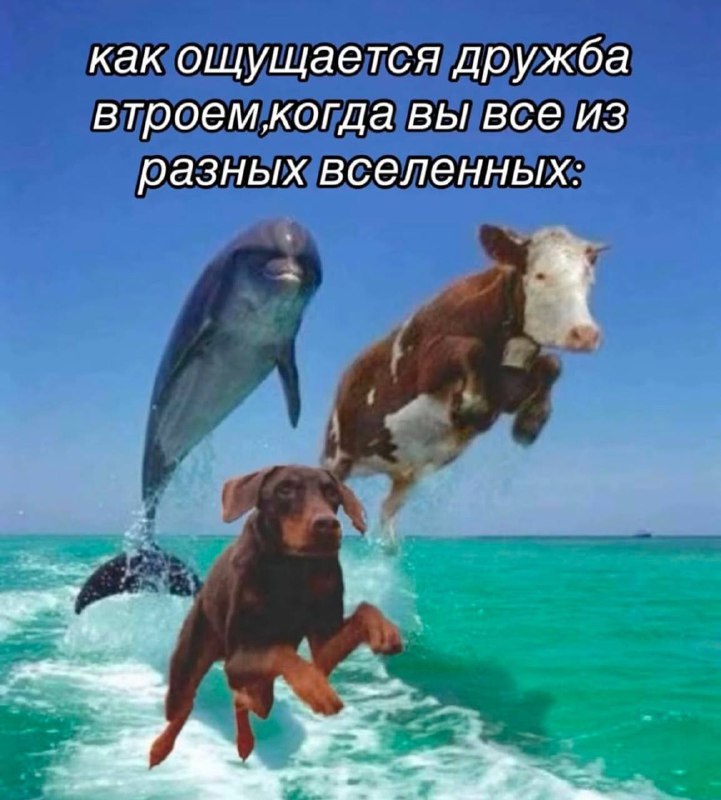 Как ощущается дружба втроем, когда вы все из разных вселенных