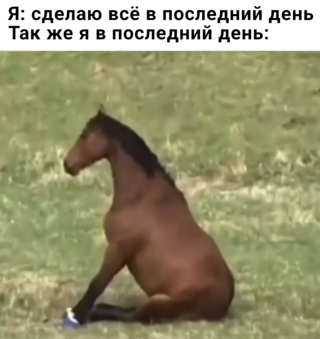 Я: сделаю все в последний день. Так же я в последний день