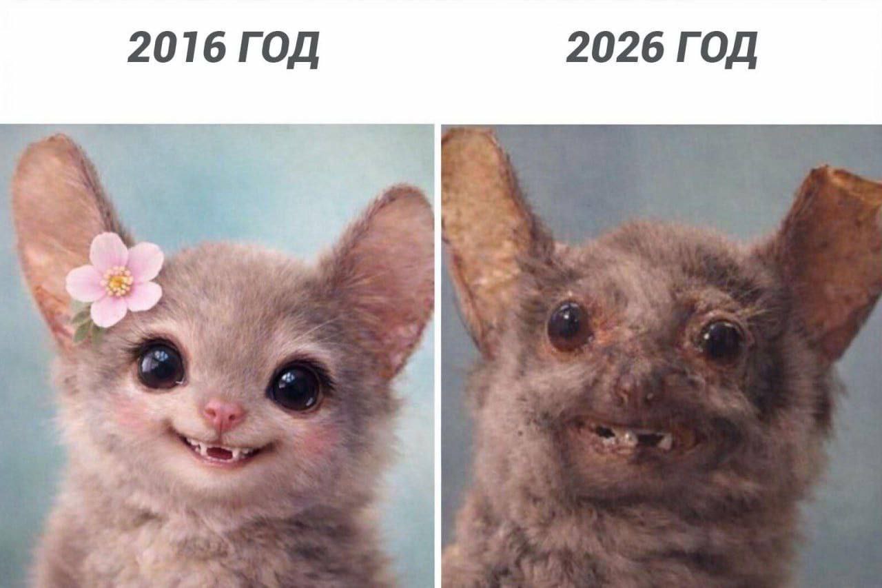 2016 год. 2026 год.