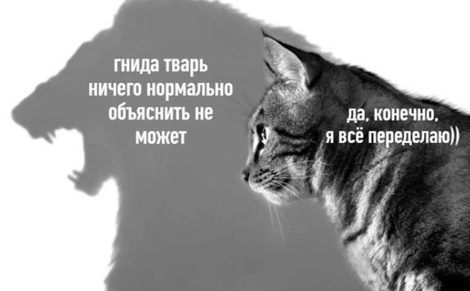 Гнида тварь ничего нормально объяснить не может. Да, конечно, я всё переделаю