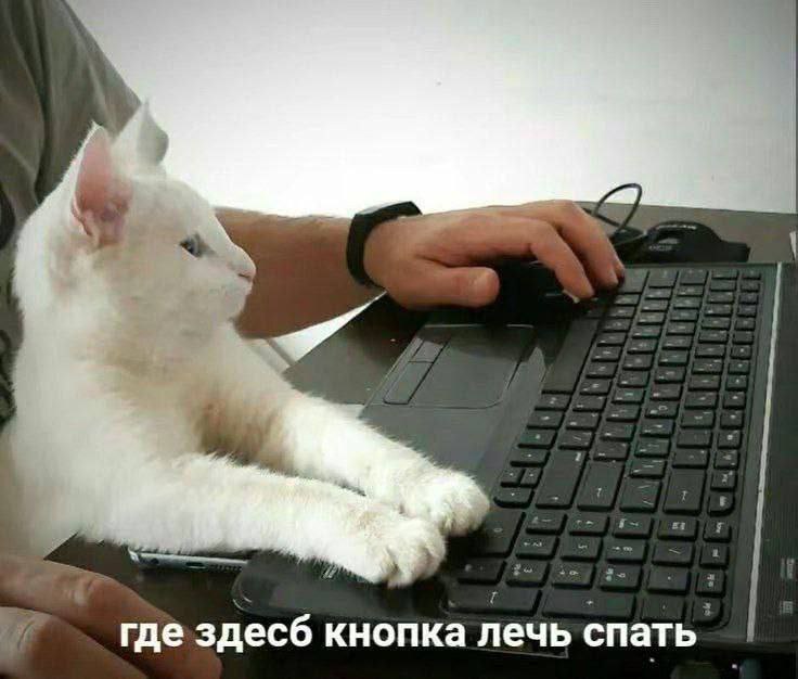 Где здесь кнопка лечь спать