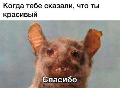 Когда тебе сказали, что ты красивый: спасибо