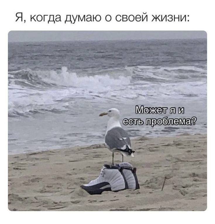 Я, когда думаю о своей жизни: может я и есть проблема?